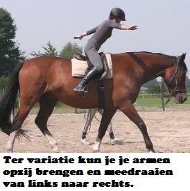 Copyright 2014 - Atletische Rijkunst - Monique de Rijk Pagina 123 De verlichte zit kan de ruiter echter perfect leren hoe en wanneer hij in balans is met zijn paard en waar hij zich vast houdt in