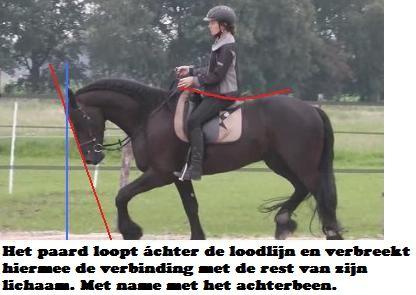 Copyright 2014 - Atletische Rijkunst - Monique de Rijk Pagina 127 Het paard loopt met een zogenaamde valse knik en loopt hiermee zichzelf letterlijk vast.