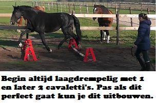 Copyright 2014 - Atletische Rijkunst - Monique de Rijk Pagina 132 CAVALETTI S EN IN-UITJES Cavaletti s en in-uitjes horen wat mij betreft echt in het basispakket van de training van je paard.