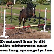 Om je paard te helpen zijn lichaam het meest effectief te gebruiken, zou je de longe in kunnen zetten om het paard in een ontspannen houding te laten bewegen.