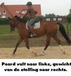 Copyright 2014 - Atletische Rijkunst - Monique de Rijk Pagina 25 HET GEWICHT VAN DE STELLING Het gewicht van de stelling kunnen we gebruiken om een paard verticaal in balans te sturen.