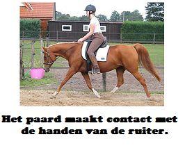 Copyright 2014 - Atletische Rijkunst - Monique de Rijk Pagina 28 AANLEUNING Aanleuning is de verbinding die het paard zoekt met de (ruiter)hand. Het is de telefoonlijn met het achterbeen.