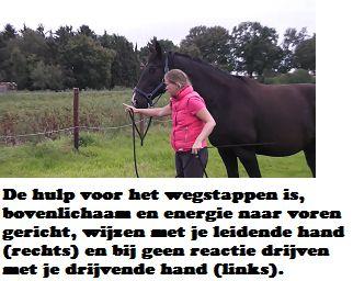 Copyright 2014 - Atletische Rijkunst - Monique de Rijk Pagina 50 Ga om te beginnen eens met je paard langs een omheining stappen (zonder stroom erop) en kijk of het lukt deze positie te krijgen.