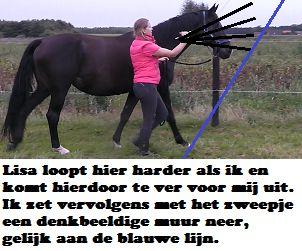 Stapt het paard niet weg, dan kun je met je drijvende hand opbouwende energie van achter geven. Zodra het paard in beweging komt, stop je met je hulpen en ontspan je weer.