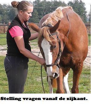Copyright 2014 - Atletische Rijkunst - Monique de Rijk Pagina 63 Van daaruit wil je het paard in beide stellingen kunnen vragen en kijken of het paard in die stelling