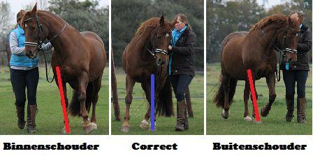 Als het paard de schouderbinnen en buiten op de rechte lijn heeft geleerd en jullie zijn toe aan een nieuwe uitdaging, dan is het een mooie toevoeging om deze oefeningen ook op een volte uit te