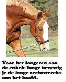 Copyright 2014 - Atletische Rijkunst - Monique de Rijk Pagina 79 Dan zal ik nu ingaan op de hulpen die je kunt gebruiken om een paard te helpen bij het voorwaarts neerwaarts lopen aan de enkele longe.