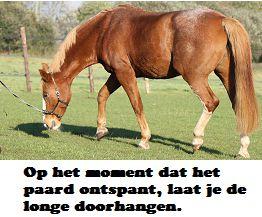 Een paard wat hier moeite mee heeft, zal slechts enkele passen zijn hoofd omlaag brengen waarna hij de rug weer aanspant en omhoog komt.