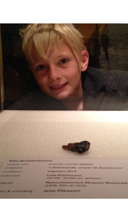 Aanwinst: hyenakies Jesse Flikweert (9) uit Naaldwijk zoekt vaak met zijn vader naar fossielen op het