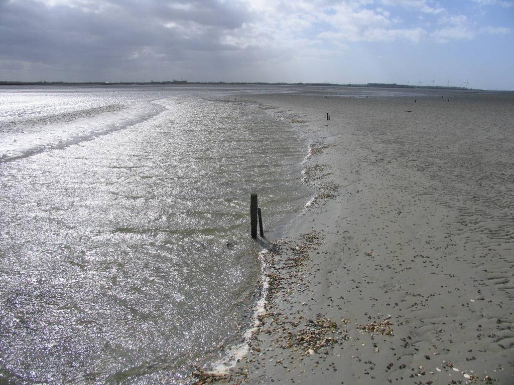 Foto 2: KZ07 Plot 8: de meanderende geul ligt nu deels in de plot. 2.3 Dortsman Noord DN07 Op DN07 werd geen zeegras meer aangetroffen in april 2013.