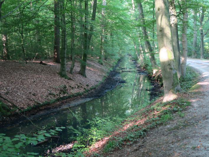 kilometer lang kanaal graven, de Twickelervaart. De 60.000 gulden die dat kostte, betaalde hij uit eigen zak. Het was een goede investering.