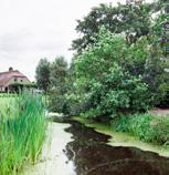 1994-1999 Bouwjaar bijgebouw: 1999 Indeling