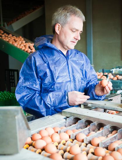 Fysische acties zoals het toepassen van aangepaste lichtschema s of verwarmen van de stal boven een bepaalde temperatuur, kunnen helpen om mijtenpopulaties onder controle te houden.