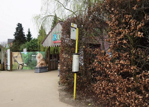 HOE GA IK NAAR DE OLMENSE ZOO? IK GA MET DE BUS Ik ga met de bus naar de Olmense Zoo. Ik wandel naar de bushalte van bus... (busnummer). Ik stap op de bus. De rit duurt ongeveer... minuten.