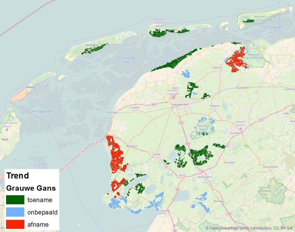 Grauwe Gans Net als bij de Kolgans zien we een significante afname langs de IJsselmeerkust, alsmede in de Anjumer kolken. Dit is opvallend in de context van de algehele toename van deze soort.