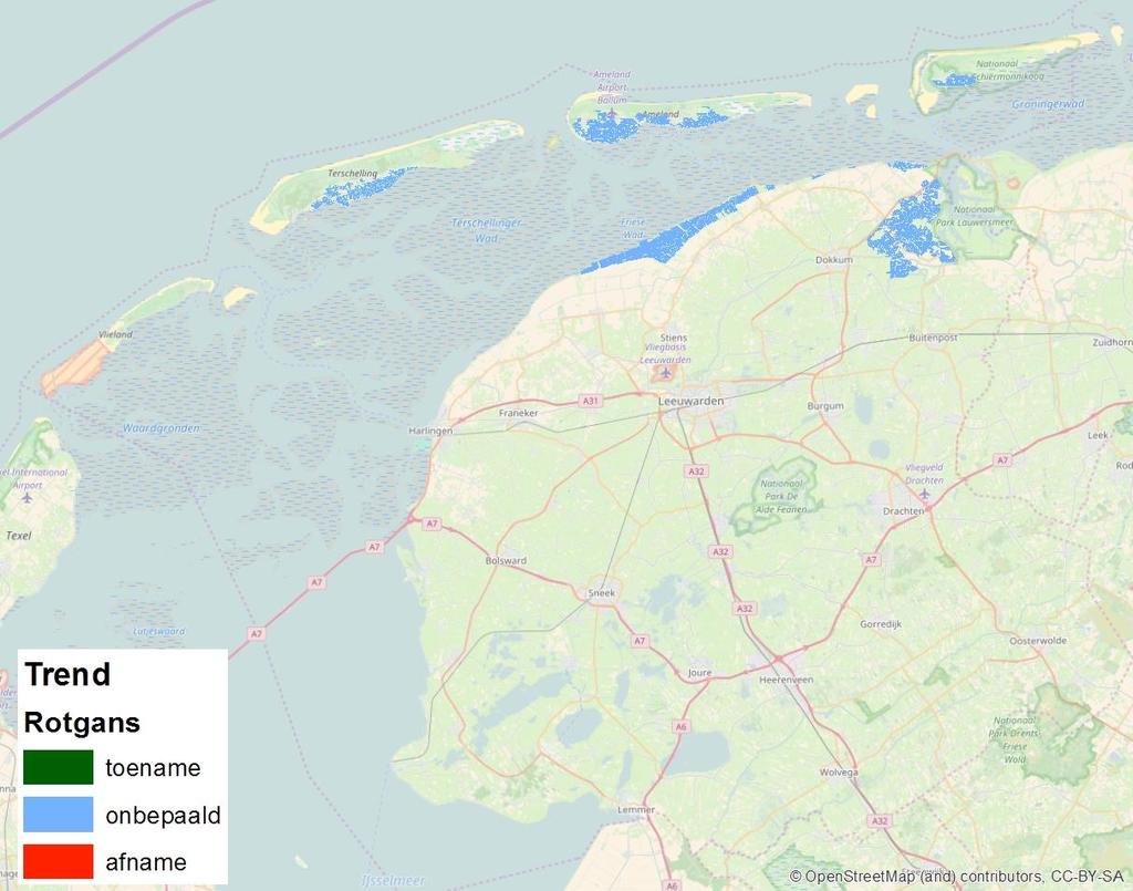 Rotgans De Rotgans komt alleen in noemenswaardige aantallen voor in de Waddenzee en in de Anjumer kolken.