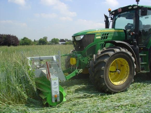 2 Rogge-erwt ingezaaid oktober 1.5 ton bovengrondse droge biomassa/ha vernietiging 21/04 5.