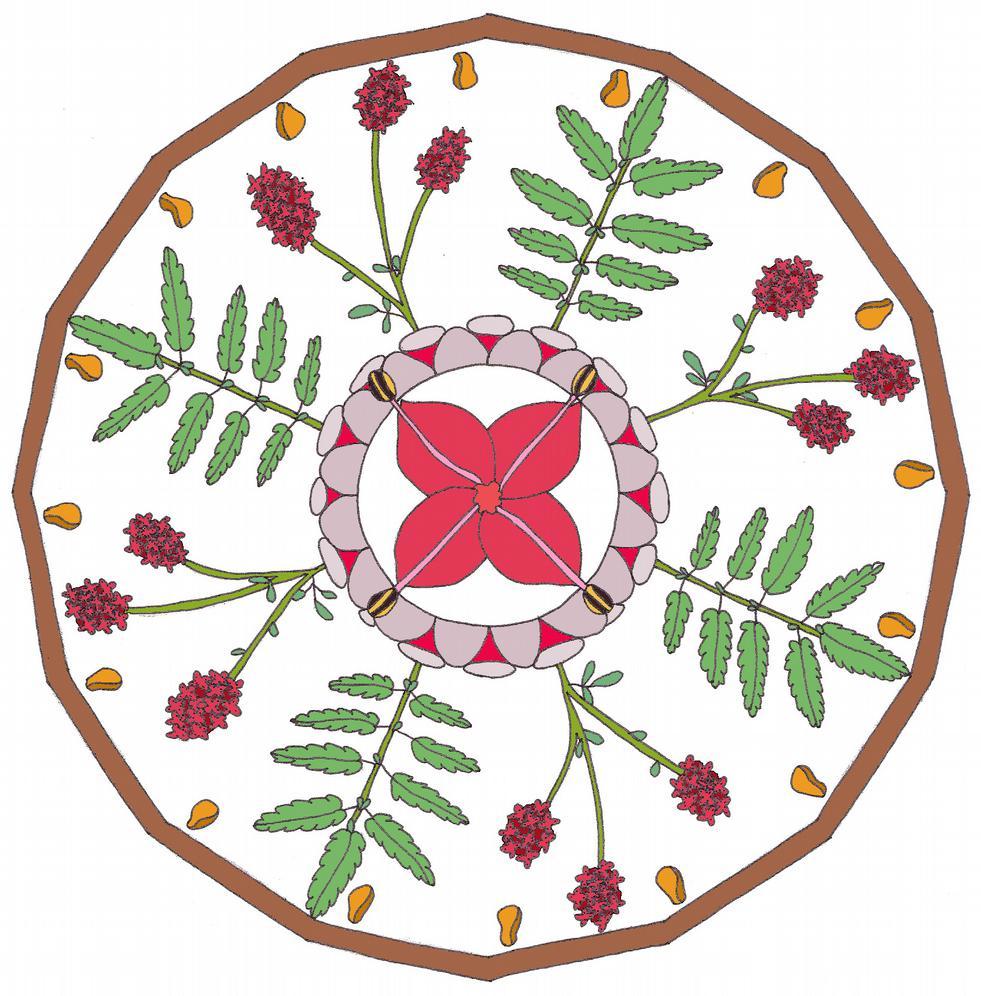 Grote Pimpernel Sanguisorba officinalis In bovenstaande mandala zijn de kenmerken van Grote Pimpernel symbolisch weergegeven.