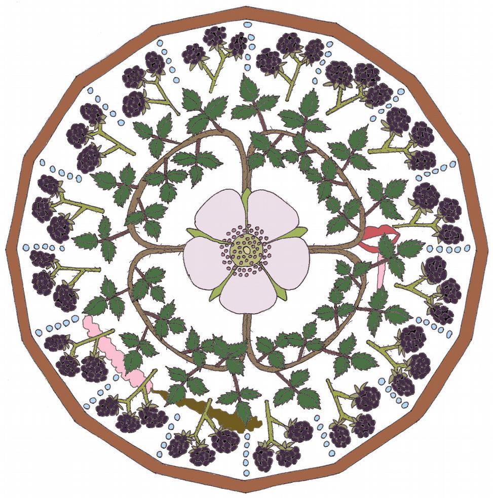Gewone Braam Rubus fruticosus In bovenstaande mandala zijn de kenmerken van Gewone Braam symbolisch weergegeven. De opbouw van de mandala is enigszins gelijk als de mandala van de rozenfamilie.