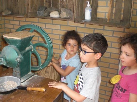 De ene groep ging kijken bij alle dieren van de kinderboerderij;