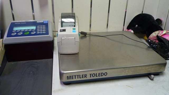 Lot 204 : Balans en printer Lot 204 Mettler Toledo