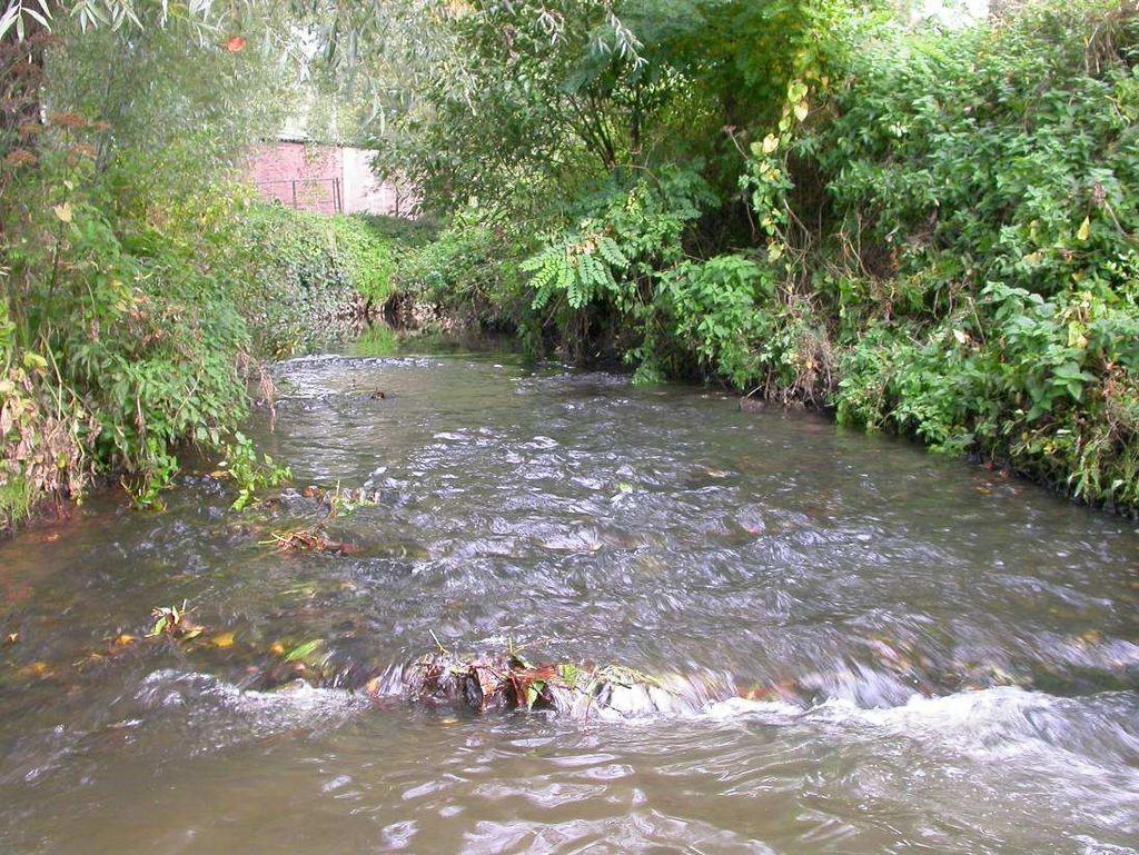 6.3.4 Kunstmatige riffle in de Zwalm stroomafwaarts van het Molenpad (Munkzwalm) 6.3.4.1 Afmetingen riffle De lengte van de kunstmatige riffle (Figuur 84), die uit schanskorven bestaat, is 10,5 m en de breedte 3,4 m.