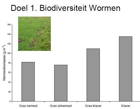 Biodiversiteit onder de grond