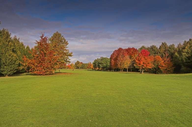 Bomen bijgeplant in