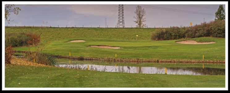 Cromstrijen hole 15: analyse Een mooie middellange par 3, weer over water Green is goed