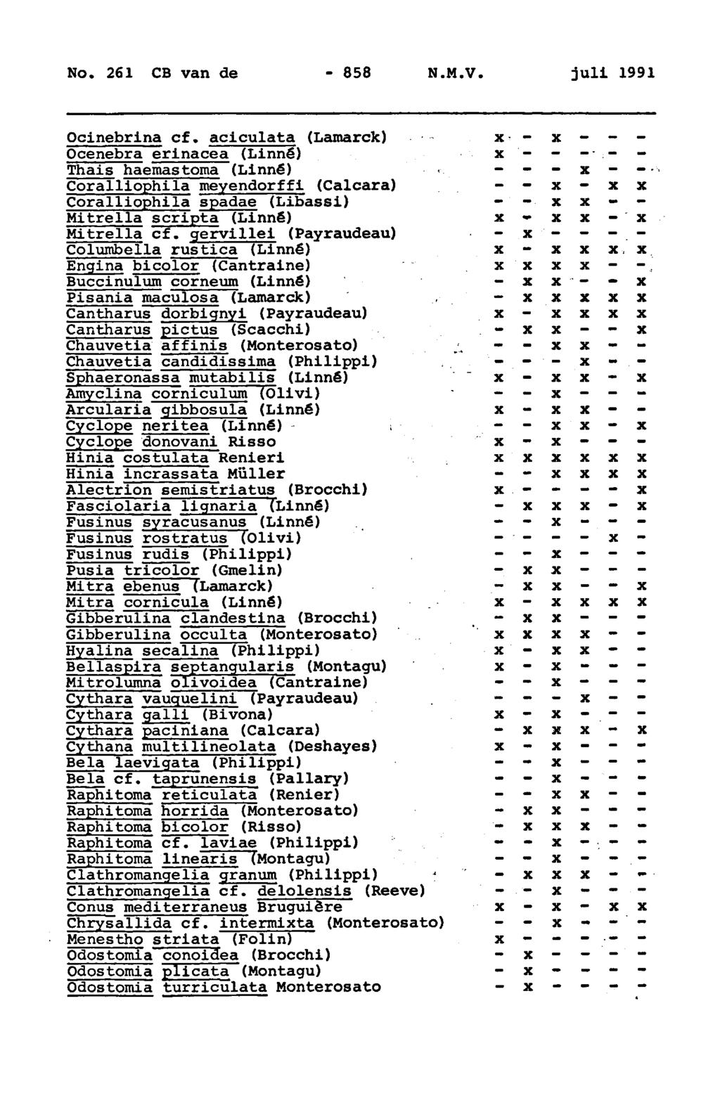 858 N.M.V. juli 1991 Ocinebrina cf.