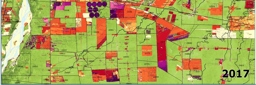 deforestation Deforested area