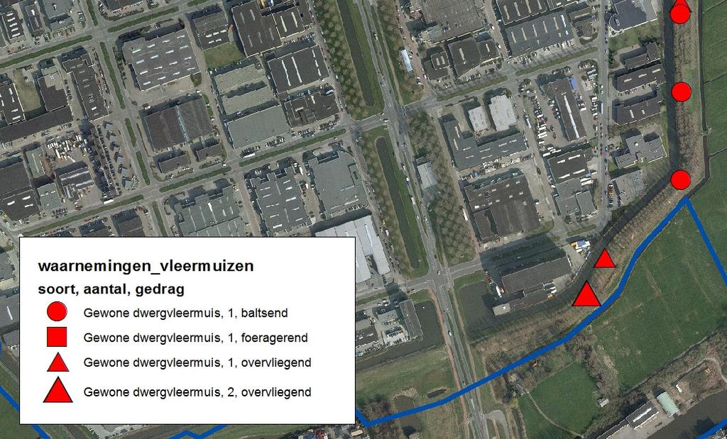 Er zijn twee soorten vleermuizen vastgesteld, te weten de Gewone dwergvleermuis Pipistrellus pipistrellus en de Ruige dwergvleermuis