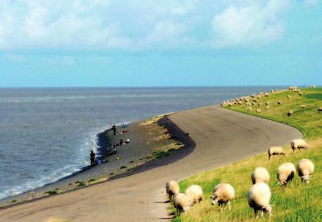 Lobbyen voor duurzamere visserij langs en in de Waddenzee 43.