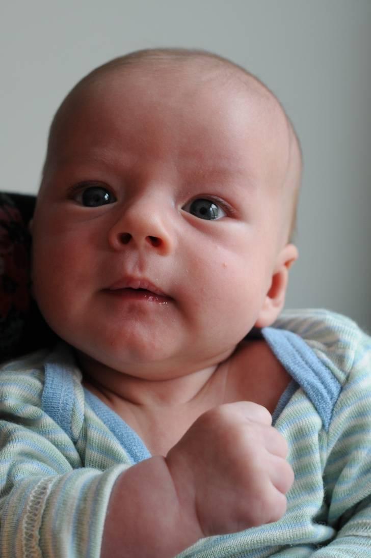 Het waakgedrag van de baby Gedragstoestand 3: de alerte, rustige waaktoestand Het lichaam is ontspannen en ogen