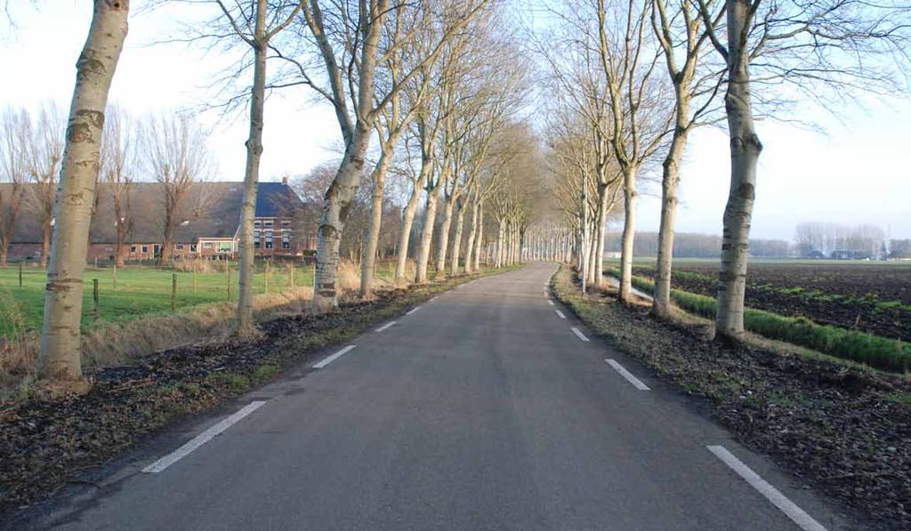 boerderijen met erfbeplanting geven diepte aan het landschap de kleine bossen aan weerszijden van het lint geven diepte aan het landschap de dubbele rij abelen geven de