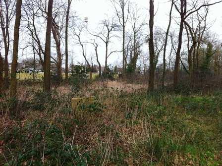 bomen in het plangebied ingemeten met behulp van GEO-referentie