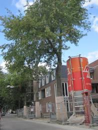 WML terrein Maaslandlaan Tijdens de uitvoering van het park in 2010 is een gedeelte van het terrein met bomen met meer dan een meter grond opgehoogd.