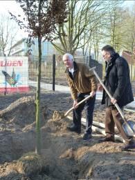 Tijdens de boomplantdag heeft een school uit Keent bij het hockeyveld Parklaan bomen en heesters geplant. Natuurlijk met hulp van H. Litjens en P.