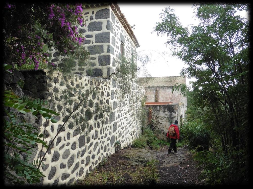 gegiste dranken (pulque).