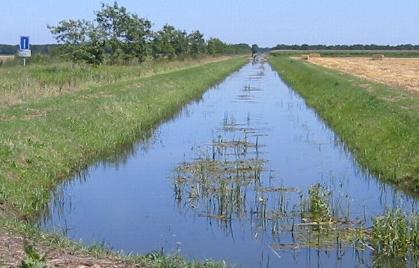 NAT PROFIEL Bedekkinggraad nat profiel: - meer dan 50% aangesloten schoon van bodemwortelende vegetatie (waaronder waterpest); - meer dan