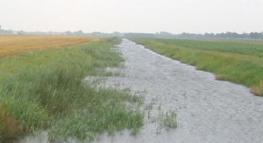gebied aaneengesloten schoon van bodemwortelende vegetatie (waaronder waterpest); - Meer dan 30% schoon van drijvende waterplanten.