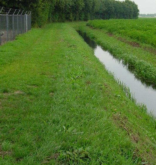 40 cm hoog) wat gelijkmatig gemaaid is over de hele breedte van het onderhoudspad; Rond obstakels is bijgemaaid en graskanten zijn niet overgroeid; De onkruiddruk voor het