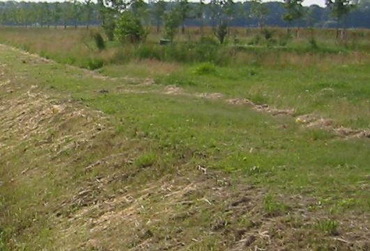 10 Onderhoudspaden hebben als doel de watergang op een veilige en economische wijze te onderhouden. ONDERHOUDSPAD EVZ met multifunct. PB landbouwwg in nat.geb.