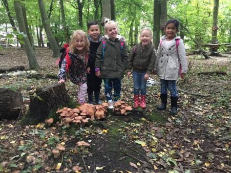 Wij hopen op mooi weer zodat de kinderen en wij veel buiten kunnen zijn!