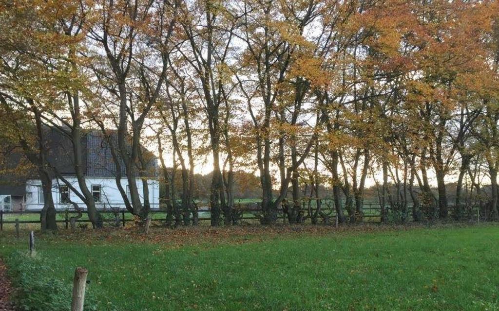 BOOMING BOMENROUTE - OUD AVEREEST ROUTE 3,5 km 20 17 Booming bomen : is een leuke wandeling langs en met aandacht voor verschillende bomen, speciaal gemaakt bij de bomenexpositie in