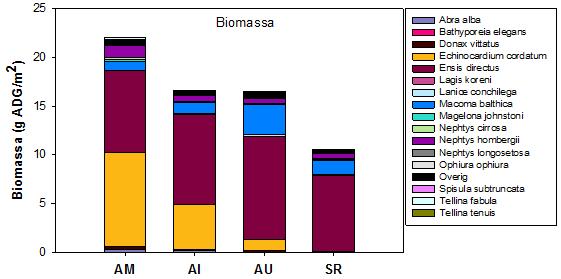 5.2.2 Gehele tijdsperiode Biomassa De gemiddelde biomassa van de studiegebieden ligt het hoogst in Ameland Midden en het laagst in Schiermonnikoog, dit verschil is significant (Figuur 5.9, Tabel 5.4).