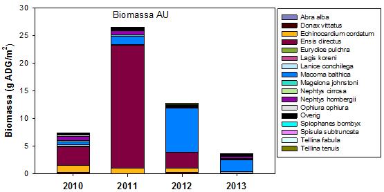 5.3.3 Ameland Uitstraling De ontwikkeling van Ameland Uitstraling over de jaren is geanalyseerd op basis van biomassa, dichtheid en diversiteit.
