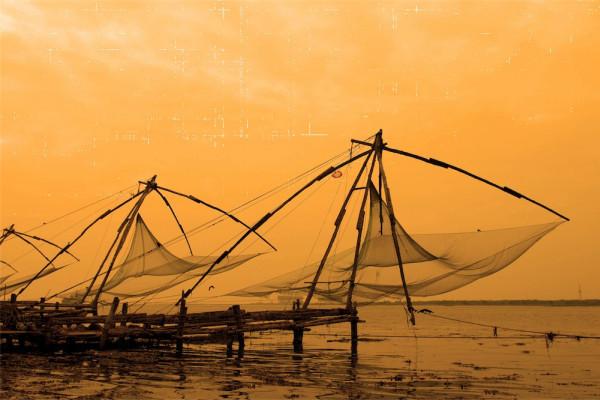 Day 15: Athirappally naar Cochin (80 KM) Kochi, gelegen aan de zuidwestkust van India, is een bruisende commerciële havenstad met een handelsgeschiedenis die minstens 600 jaar oud is.