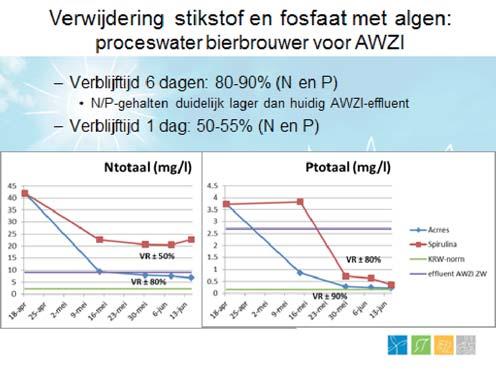 Waarom zijn algen handig? Ze verwijderen stikstof en fosfaat uit water. Er loopt nu een pilot om het proceswater van een bierbrouwer te zuiveren door het water langs de algen te laten gaan.