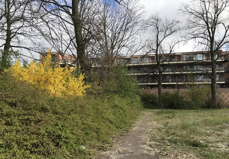 Het braakliggende terrein, met zeer weinig begroeiing. Figuur 10.